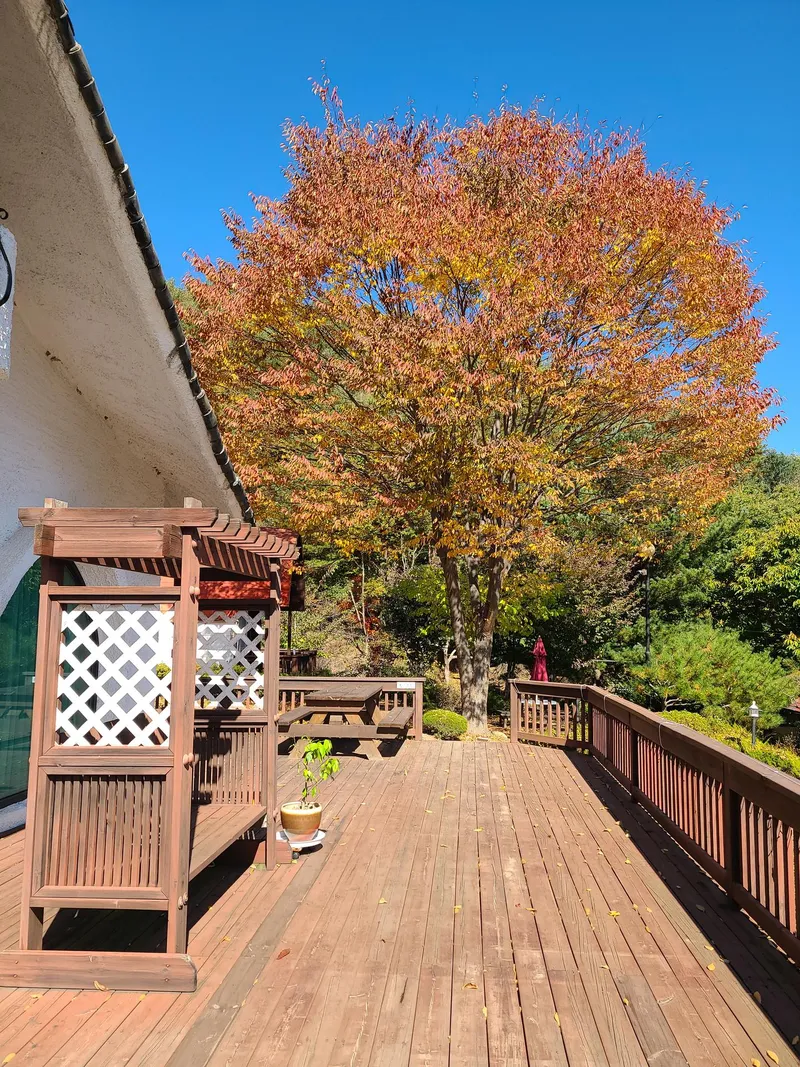 [Pyeongchang] Log M2 Room Private Duplex Pool A forest garden inside me 7