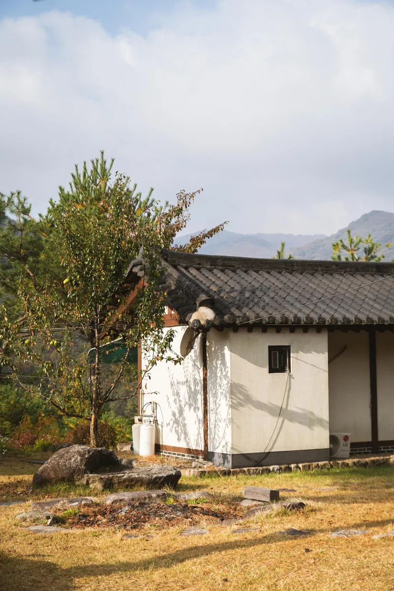 [경북 영주] 소백산국립공원 안 산속 펜션 목련동 23