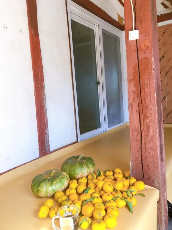 [Tongyeong] A village house with a wall in the central market, Dongparang, Seopirang, and Saebyeonggwan 6