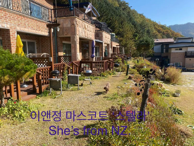 [강원 인제] 자연과 함께하는 고품격 힐링타운 원룸주택 F #애견동반가능 40