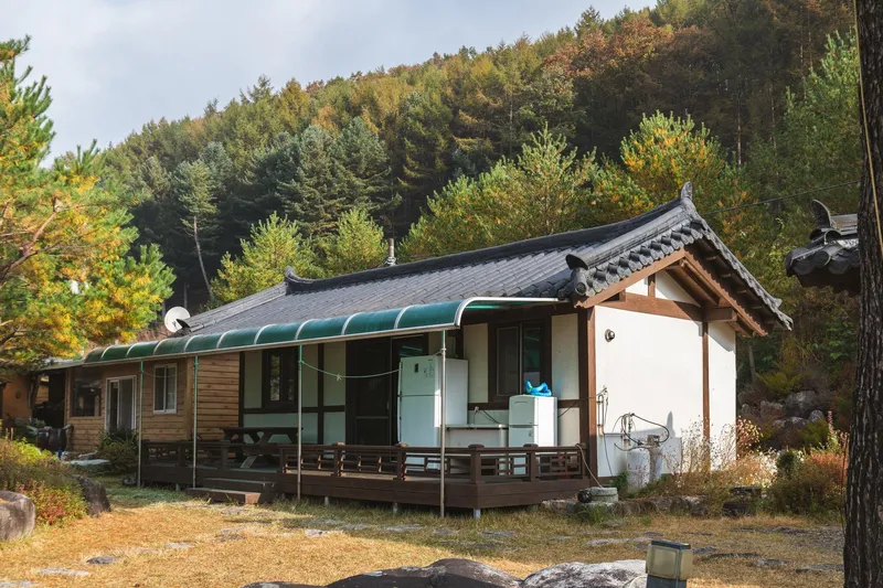 [경북 영주] 소백산국립공원 안 산속 펜션 백합동 18