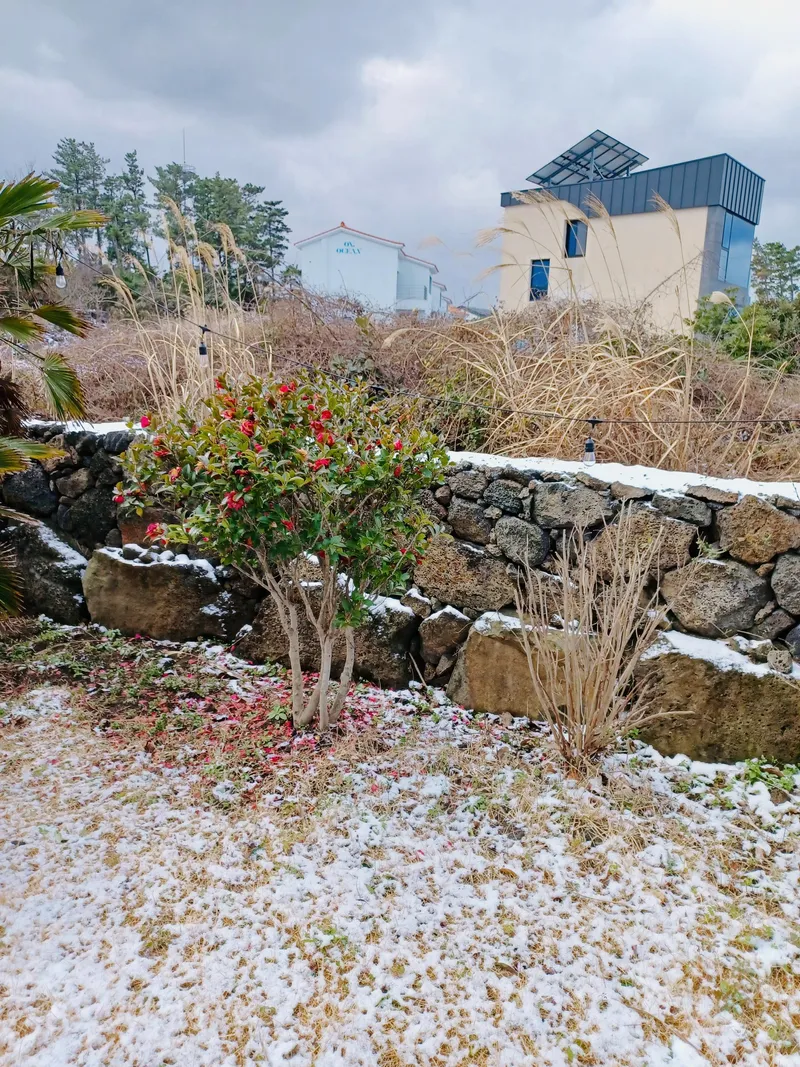 [Jocheon, Jeju] Independent accommodation near Bukchon Port 62