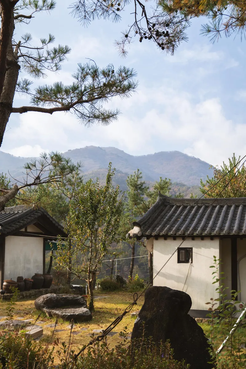 [경북 영주] 소백산국립공원 안 산속 펜션 목련동 18