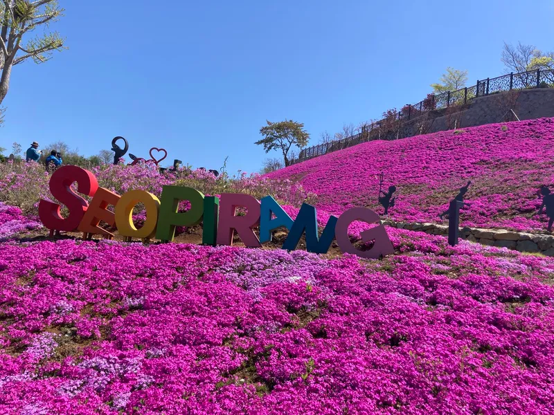 [Tongyeong] Ocean view Gangguan view Seopirang Park rooftop and independent house with sculpture yard 27