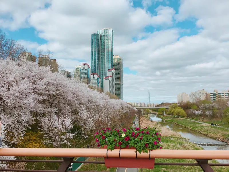 [서울 서초] 스튜디오 아파트,양재역 양재천 근접, 주차편리, 도심속힐링 20