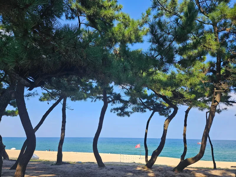 [강원 강릉] 바닷가근처 대관령 노울 풍경이 아름다운 숙소 19
