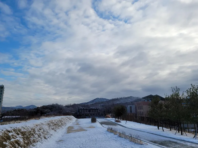 [경기 고양] 삼송역 숲세권 테라스복층아파트#4룸#주차2대 43