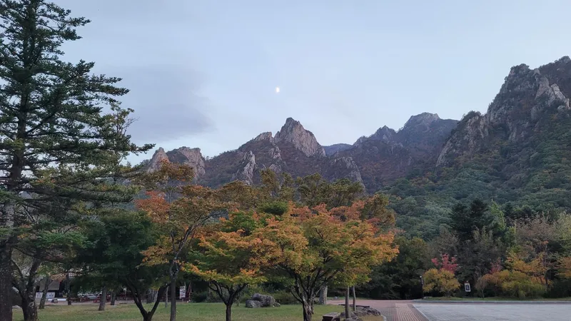 [강원 양양] 조용한숙소물치해변도보5분낙산사차로5분/속초중앙시장인접 5