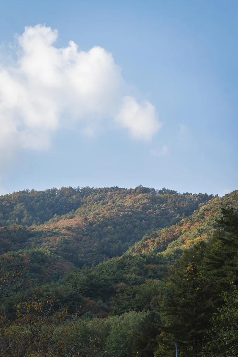 [Yeongju] Dalmaru, a secluded, independent house with a beautiful view near Musim Village 42