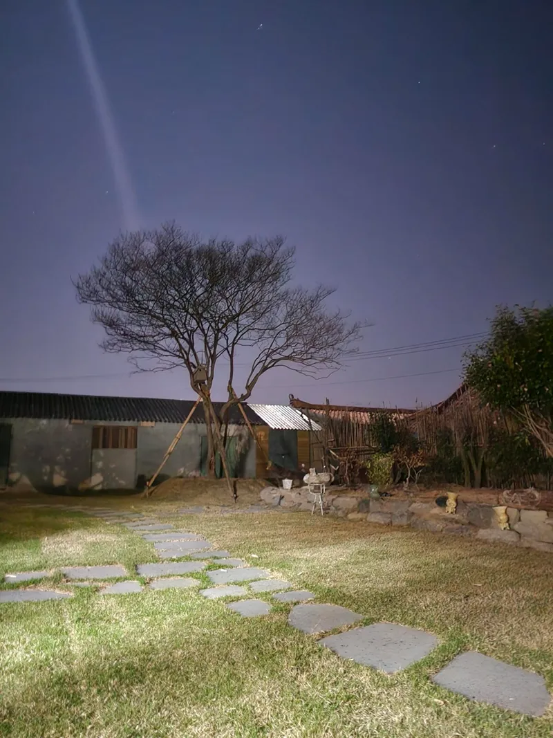 [전남 보성] 애견동반,넓은마당,대나무울타리가있는 주월경 입니다 15