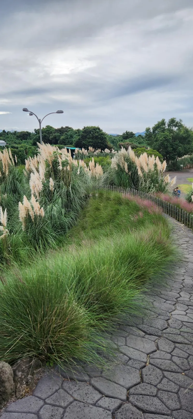 [서귀포 표선] 오롯이 제주감성과 조용한 휴식공간 34