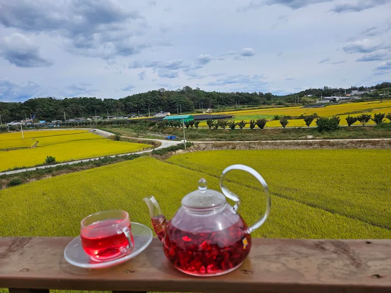 [Yeongju] A private house filled with the fragrance of flowers at the foot of Mt. Sobaek 85