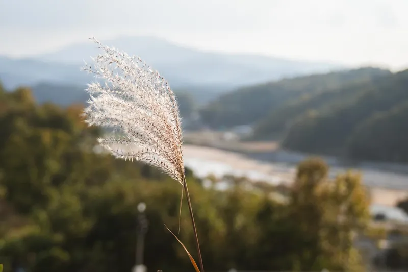 [Yeongju] Dalmaru, a secluded, independent house with a beautiful view near Musim Village 37