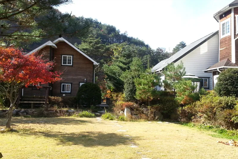 [Pyeongchang] Wooden pension Daylily surrounded by Geumdangsan Mountain and Geumdang Valley 25