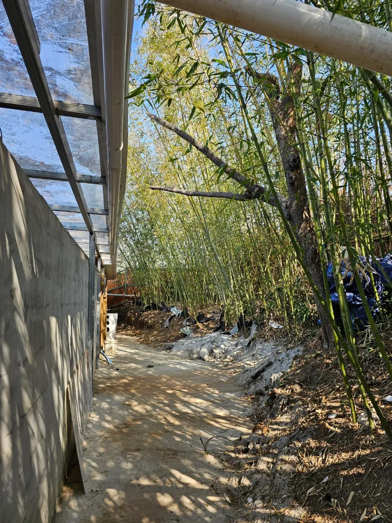[전남 보성] 애견동반,넓은마당,대나무울타리가있는 주월경 입니다 18