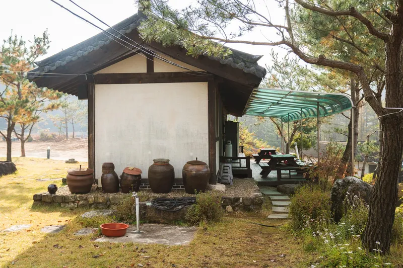 [경북 영주] 소백산 국립공원 안 산속 펜션 장미동2 23