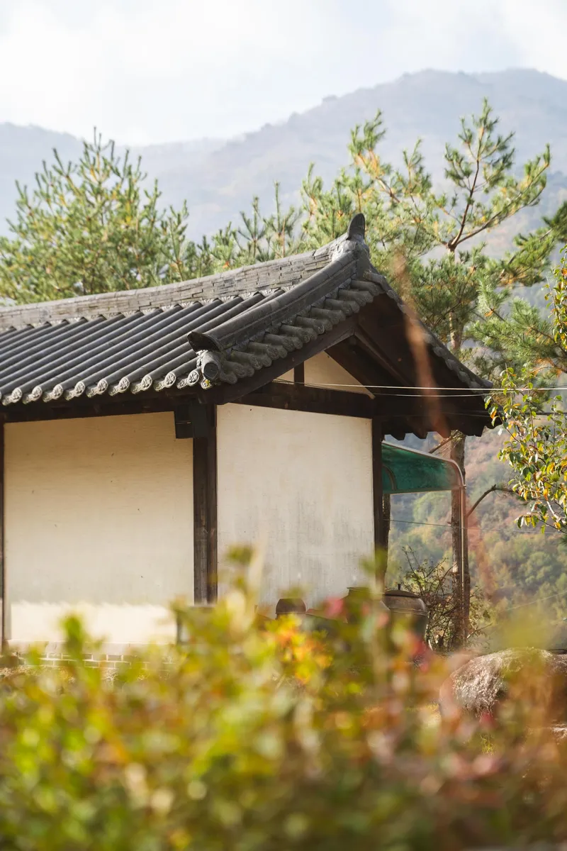 [경북 영주] 소백산 국립공원 안 산속 펜션 장미동1 24
