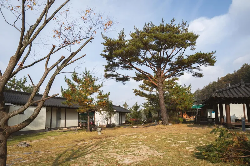 [경북 영주] 소백산국립공원 안 산속 펜션 목련동 24
