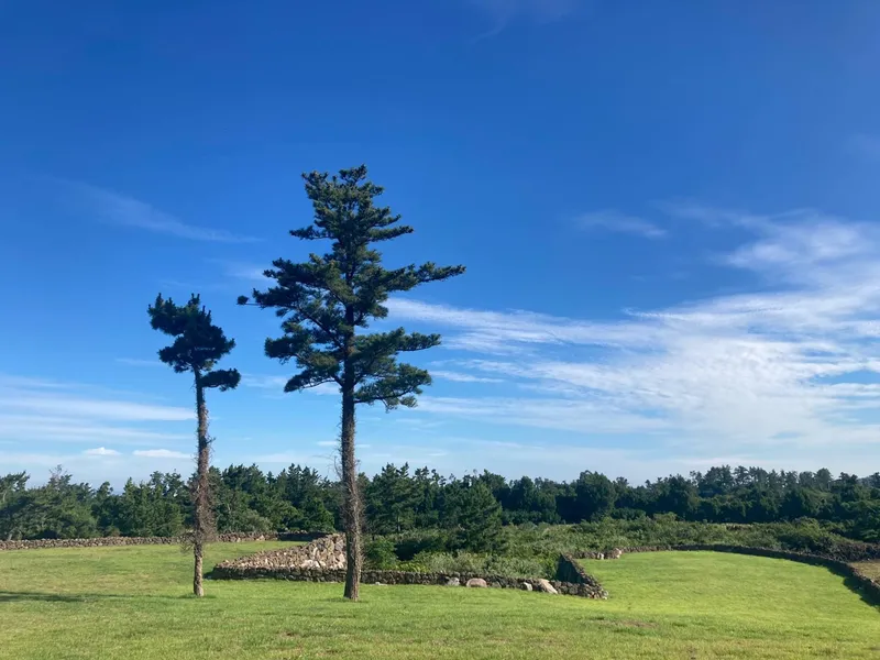 [제주 한경] 애월 신창풍차해안 한라산뷰 드넓은 잔디마당 복층독채 8동 17