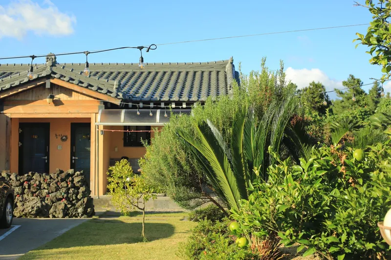 [Aewol, Jeju] Accommodation with cypress trees and healing #Pets allowed 48