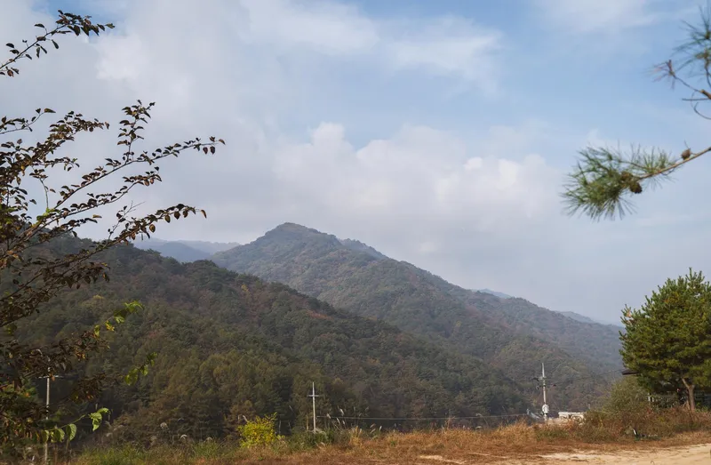 [경북 영주] 소백산국립공원 안 산속 펜션 목련동 32