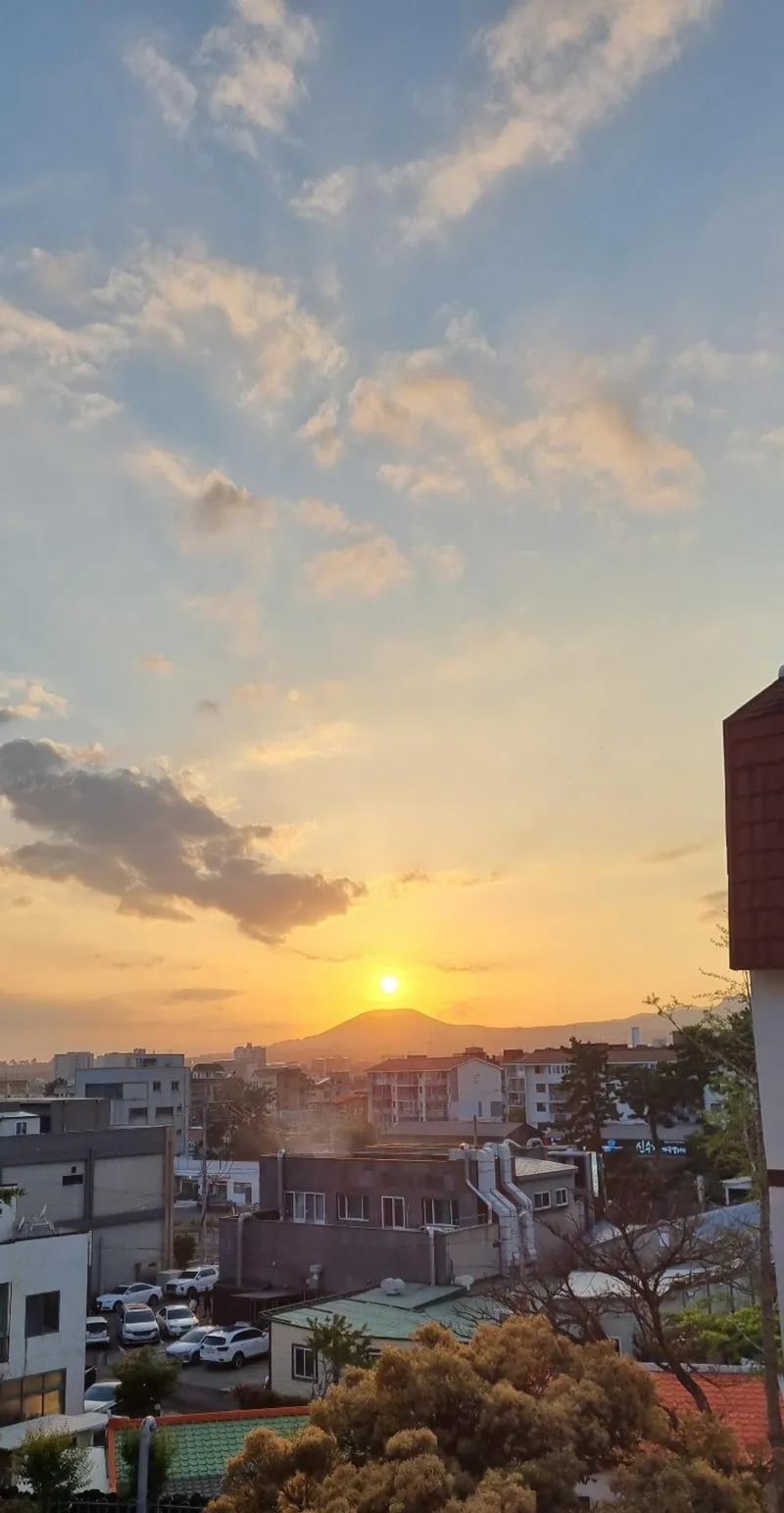 [서귀포 동홍동] 서귀포 바다까지10분, 병원약국 관광지 인접 위치최상 3룸 감성숙소 41
