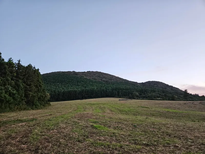 [제주 조천][제편] 편백숲마을 바로앞 제주 비밀의 숲 투룸독채 3