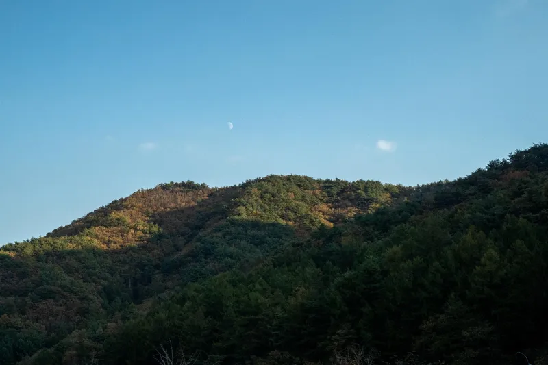 [Yeongju] Independent pension in front of the valley at the foot of Mt. Sobaeksan in Dansan-myeon 73