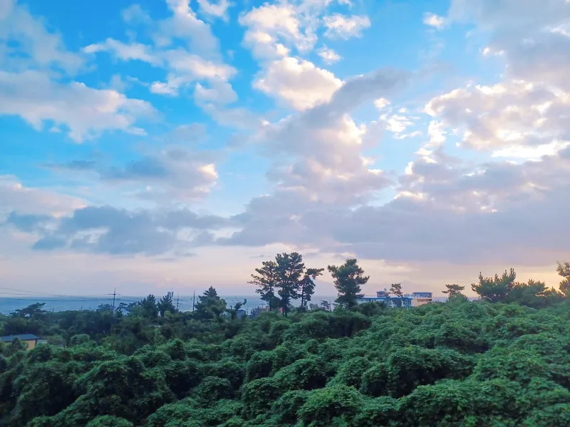 [Jocheon, Jeju] Independent accommodation near Bukchon Port 5