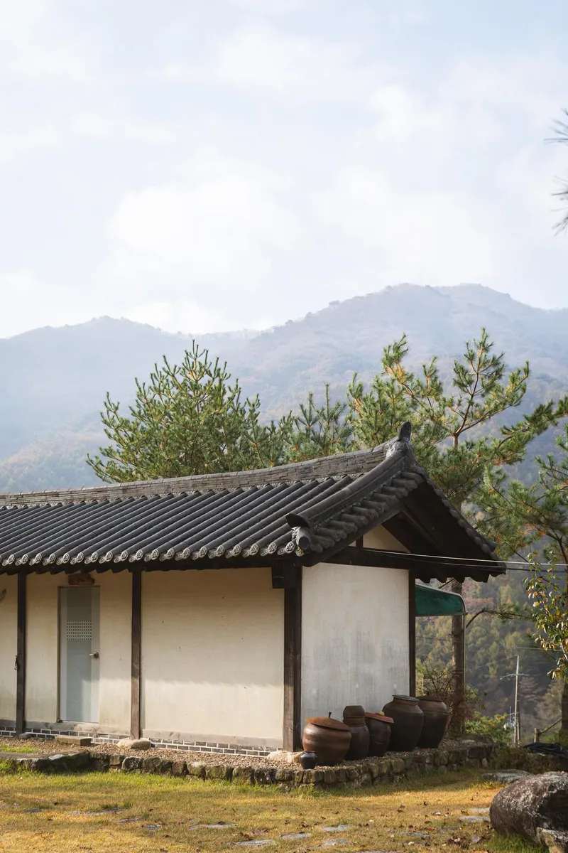 [경북 영주] 소백산 국립공원 안 산속 펜션 장미동2 14