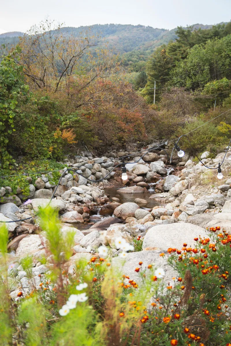 [Yeongju] Independent pension in front of the valley at the foot of Mt. Sobaeksan in Dansan-myeon 82