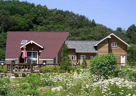 [강원 평창] 금당산과 금당계곡에 아우러져 있는 목조 펜션 자운영 16