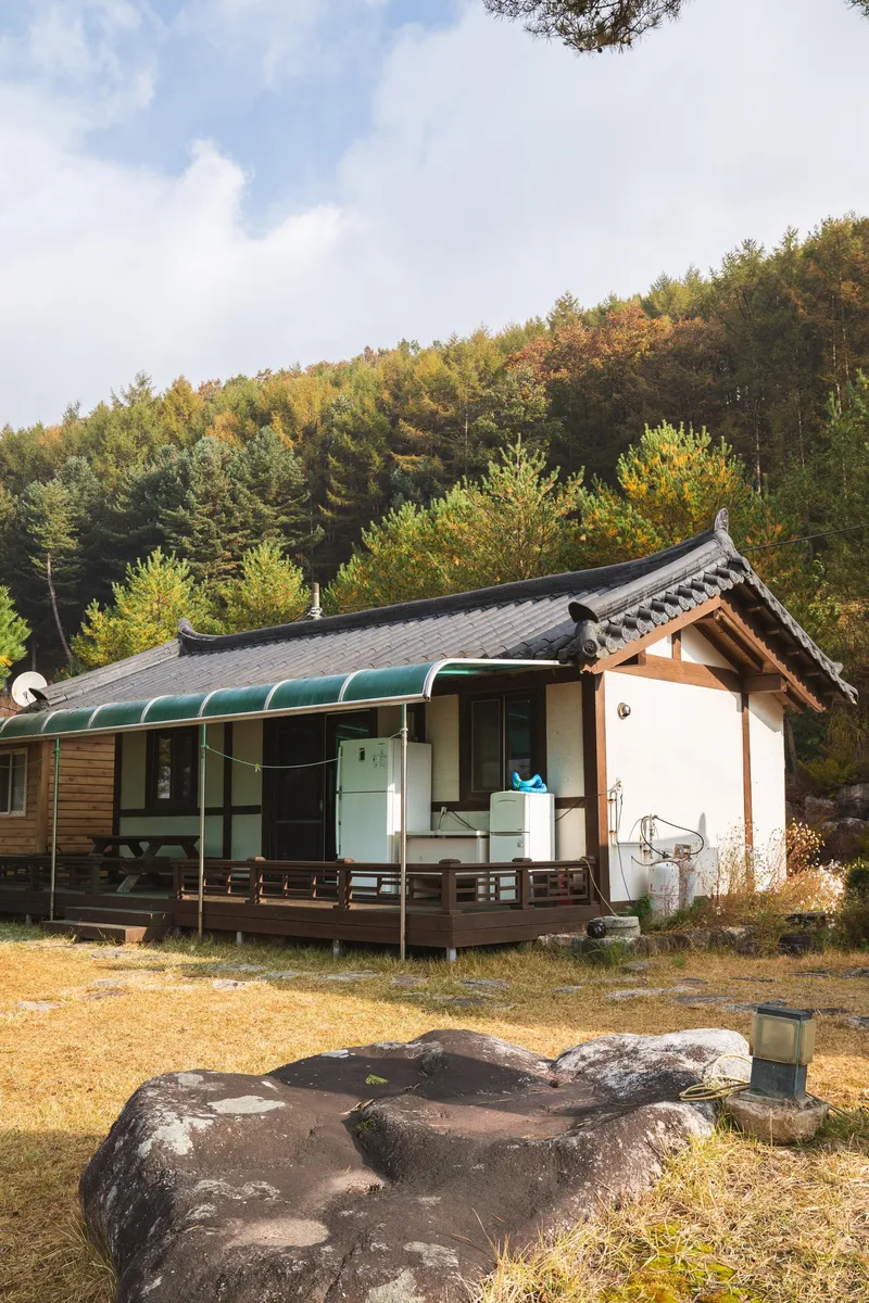[경북 영주] 소백산국립공원 안 산속 펜션 백합동 17