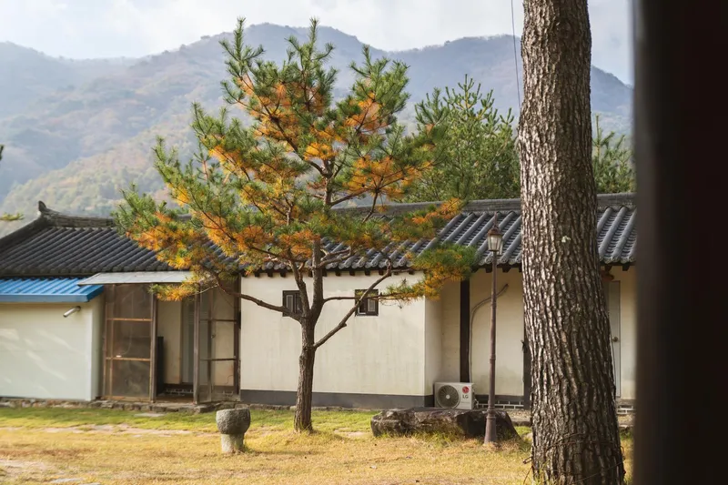 [경북 영주] 소백산 국립공원 안 산속 펜션 장미동2 27