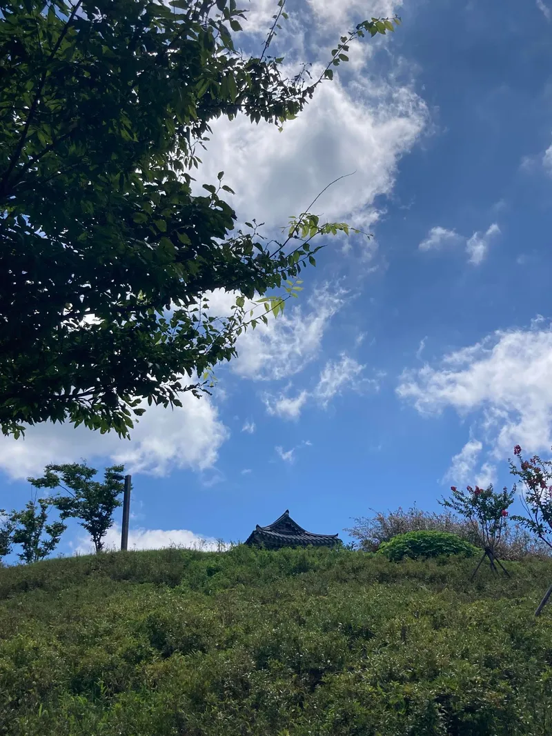 [Tongyeong] Ocean view Gangguan view Seopirang Park rooftop and independent house with sculpture yard 34