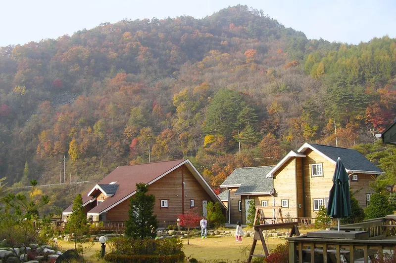 [강원 평창] 금당산과 금당계곡에 아우러져 있는 목조 펜션 자운영 10