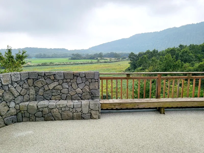 [Jocheon, Jeju] Stars pouring down / Quiet accommodation / Cool sun 28