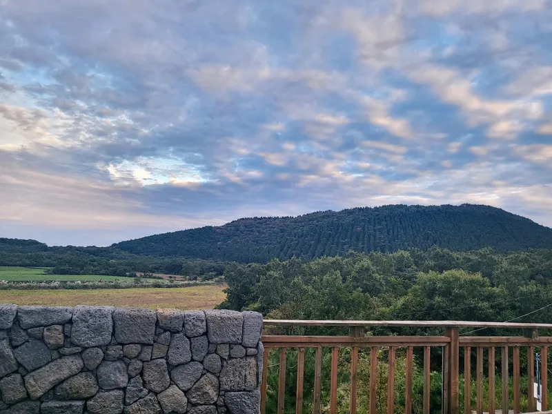 [Jocheon, Jeju] Stars pouring down / Quiet accommodation / Cool sun 9
