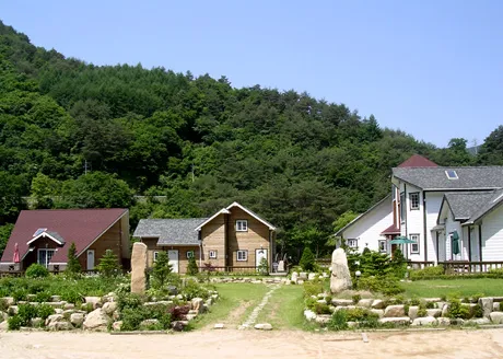 [Pyeongchang] Wooden pension Daylily surrounded by Geumdangsan Mountain and Geumdang Valley 20