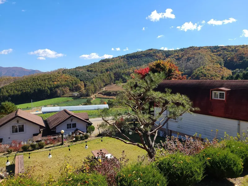 [Pyeongchang] Log M2 Room Private Duplex Pool A forest garden inside me 3