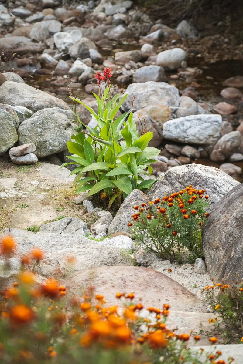 [Yeongju] Independent pension in front of the valley at the foot of Mt. Sobaeksan in Dansan-myeon 83