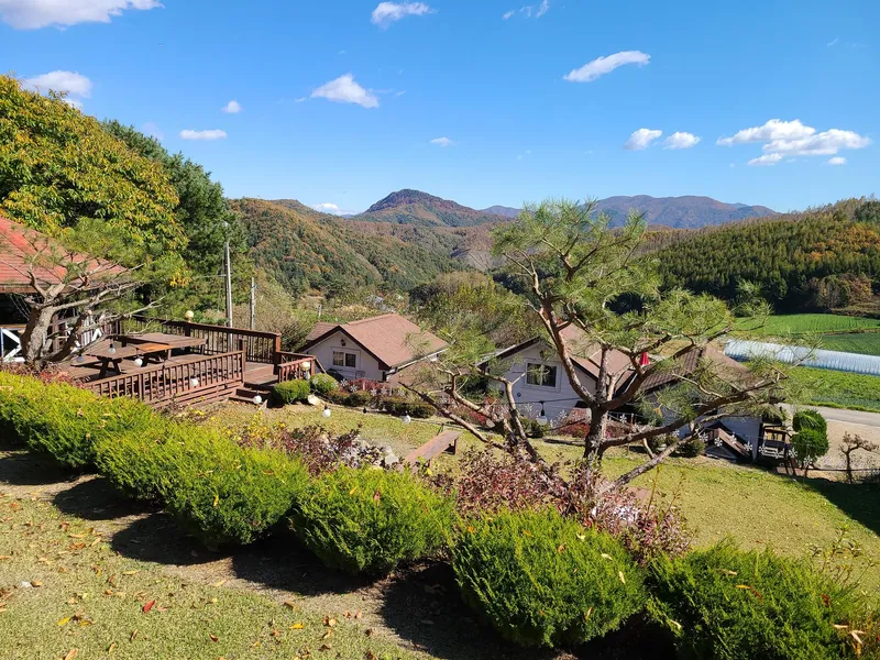 [Pyeongchang] Log M2 Room Private Duplex Pool A forest garden inside me 11