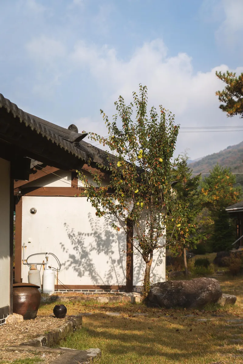 [경북 영주] 소백산국립공원 안 산속 펜션 목련동 13