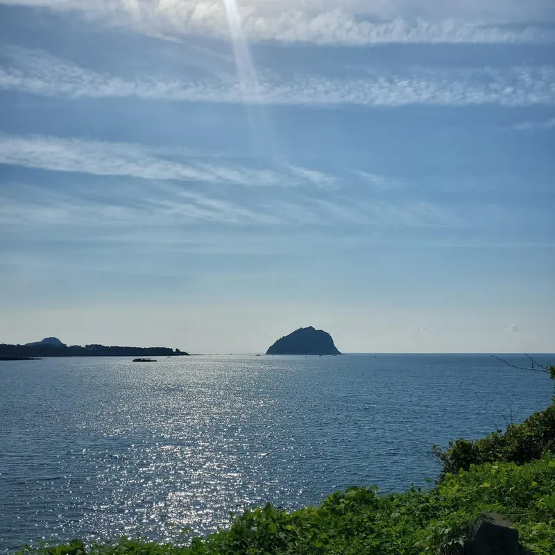 [서귀포 동홍동] 서귀포 바다까지10분, 병원약국 관광지 인접 위치최상 3룸 감성숙소 39