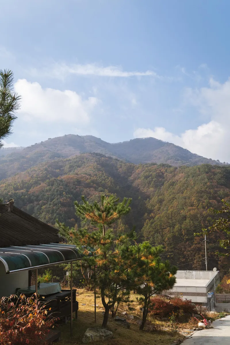 [Yeongju] Hwangtobang Pension in Sobaeksan National Park 26