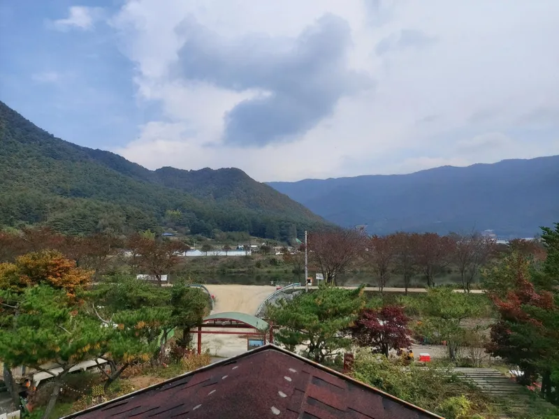 [Pyeongchang] Pretty, a healing place with white hydrangeas for a walk 4