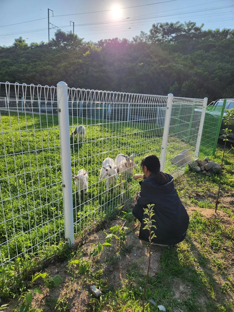 [강원 평창] 시내 근처 한적한 70년 전통 한옥 독채 14