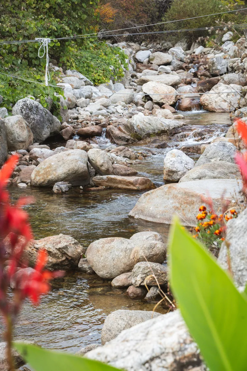 [Yeongju] Independent pension in front of the valley at the foot of Mt. Sobaeksan in Dansan-myeon 87