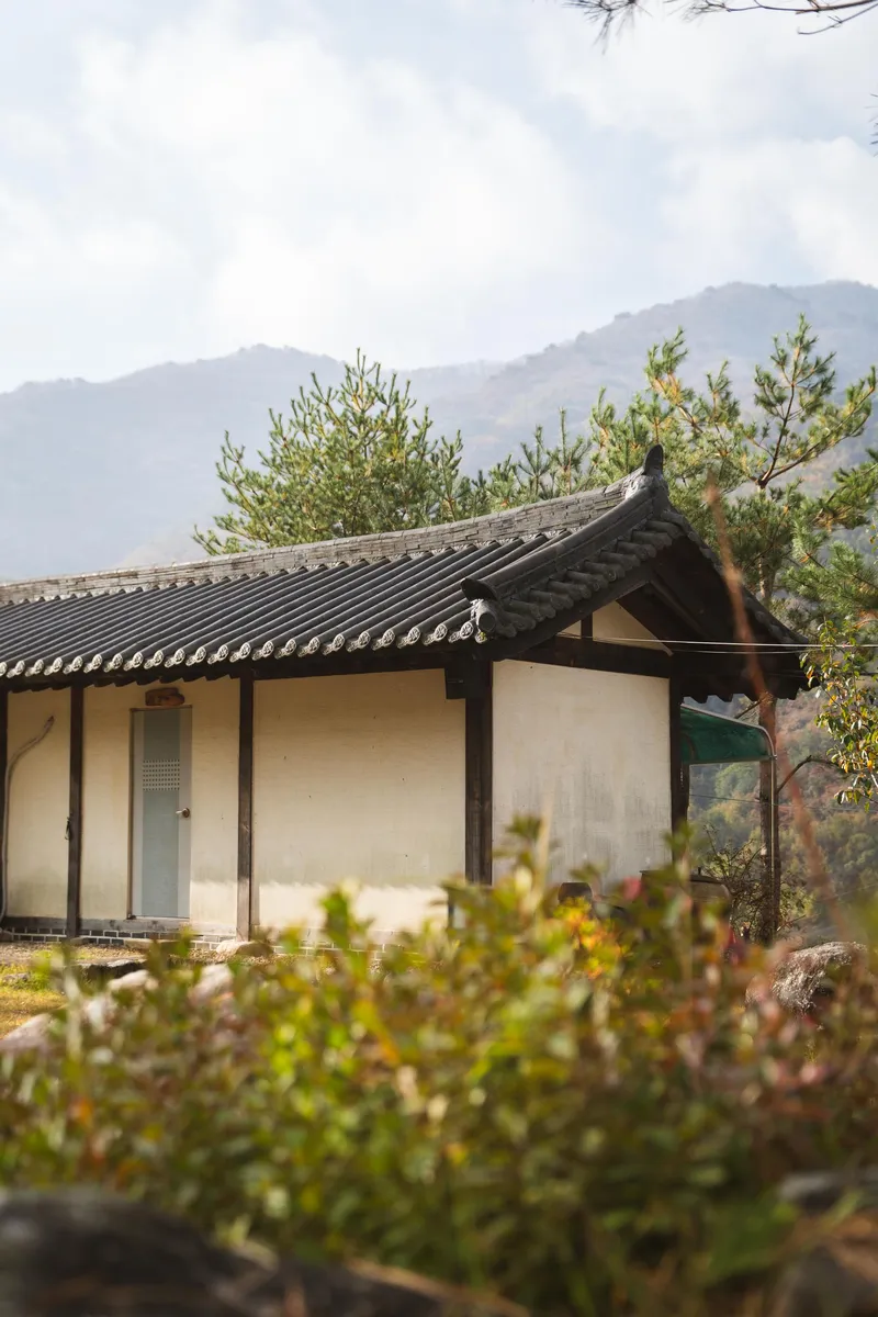 [경북 영주] 소백산 국립공원 안 산속 펜션 장미동1 25