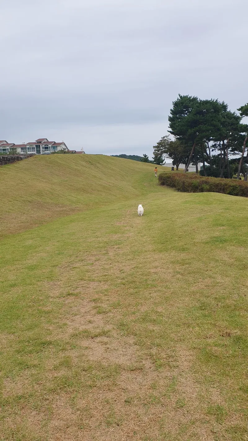 [경남 거제] 거제 타운하우스 아침도시 탑층36평 18